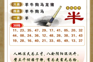2025073期香港彩九肖30码中特