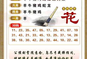 2025111期香港彩九肖30码中特