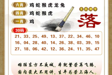 2025113期香港彩九肖30码中特