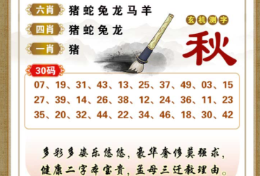 2025114期香港彩九肖30码中特